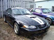 99 MUSTANG